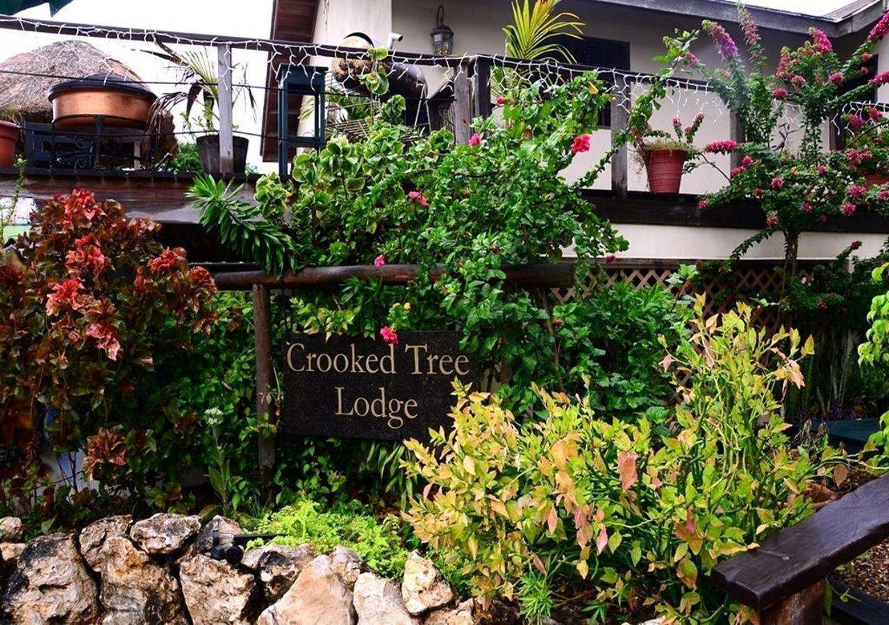 Crooкed Tree Lodge Belize Crooked Tree Экстерьер фото
